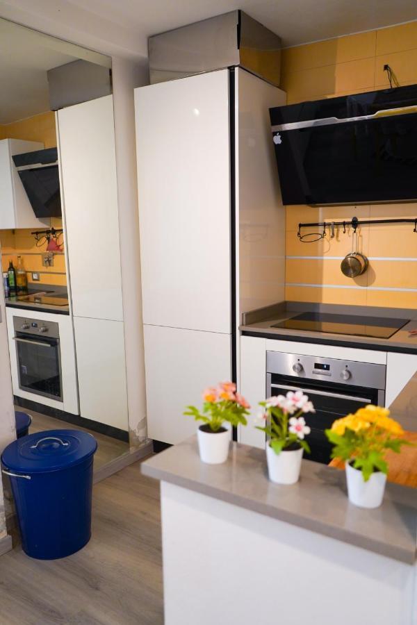 Loft 42 Lägenhet Pisa Exteriör bild